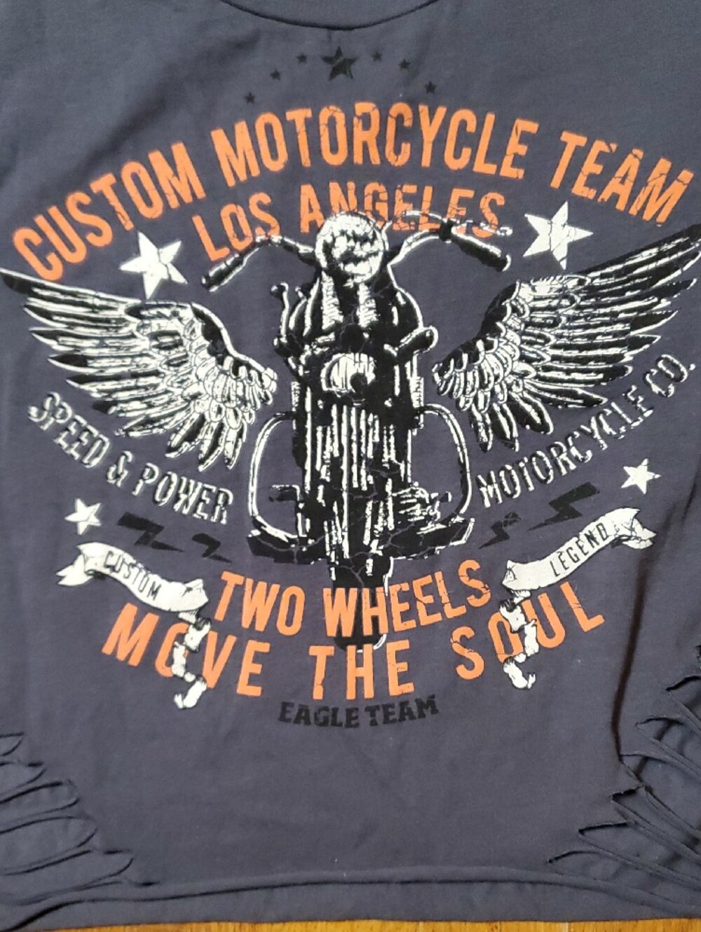 Custom Motorcycle Team Graphic Cropped And Distressed - Picture 8 of 9
